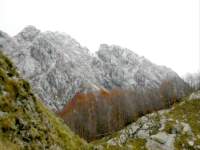 Alpi_Apuane (374), Alpinismo (498), Gr_Sagro (64), Vergheto_Foce di Vinca (39)